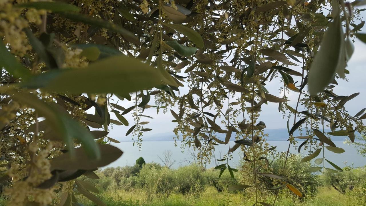 Hotel La Torre Castiglione del Lago Bagian luar foto